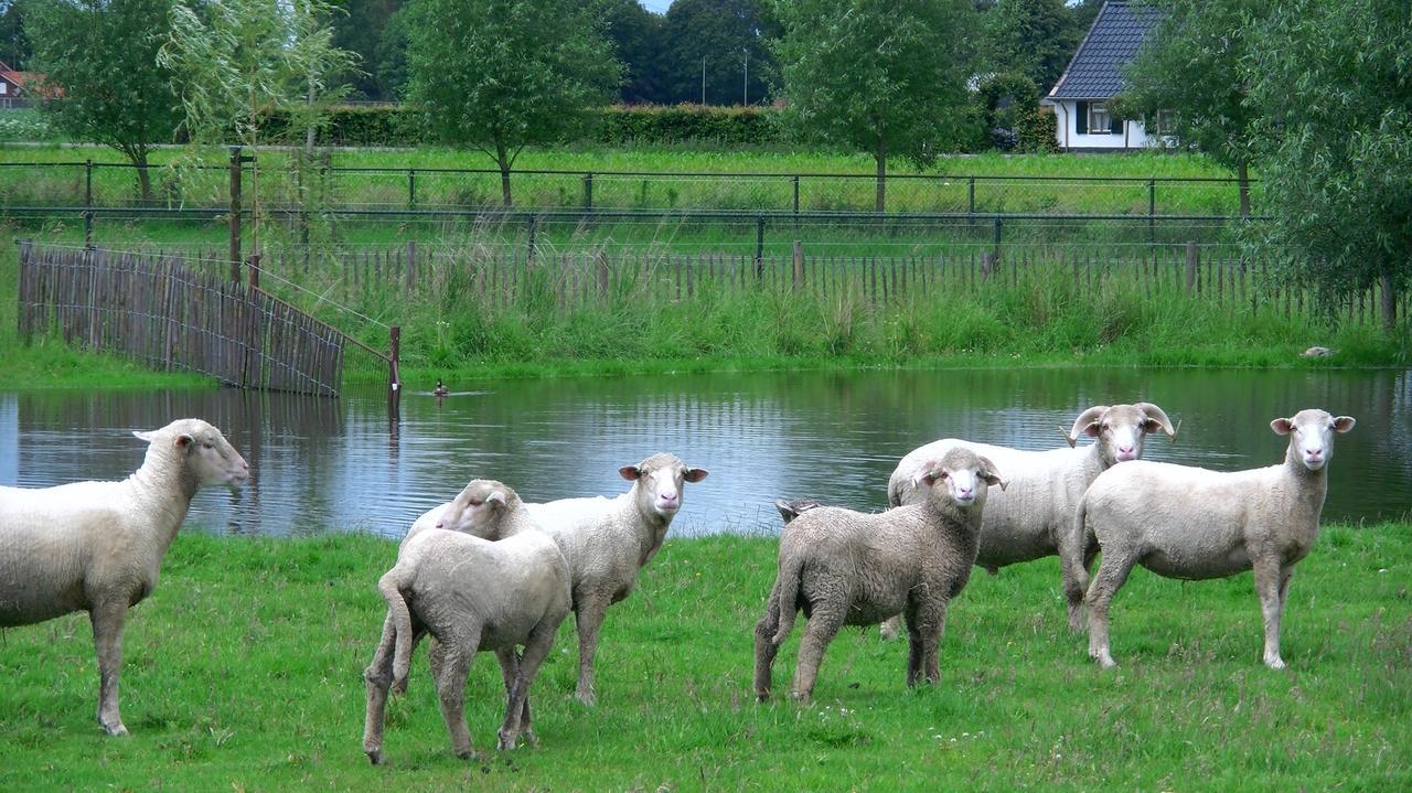 Bed and Breakfast De Turfstaeker Ospel Exterior foto